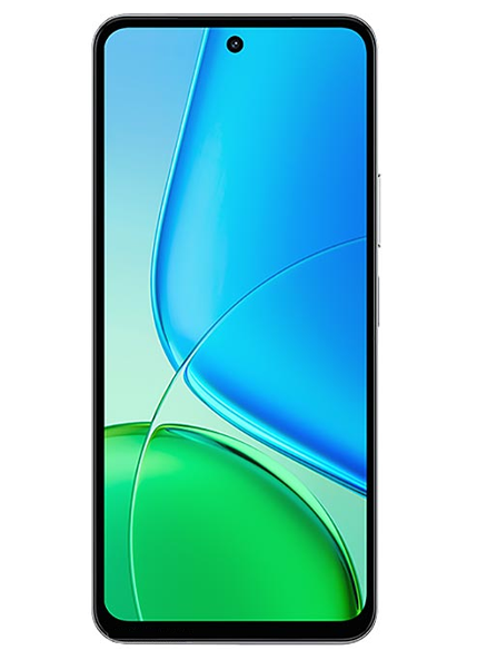 Vivo Y29